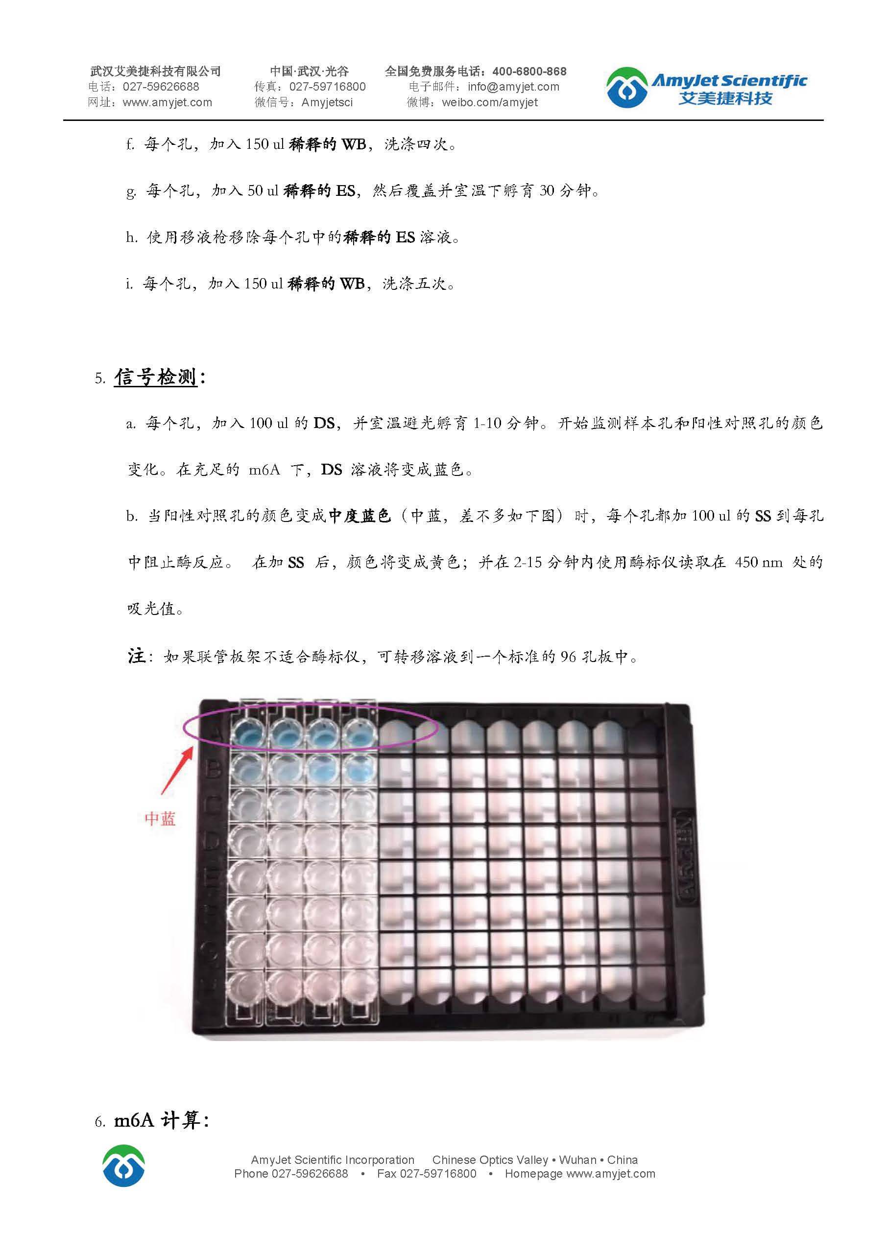 m6A RNA定量试剂盒（P-9005) 中文说明书